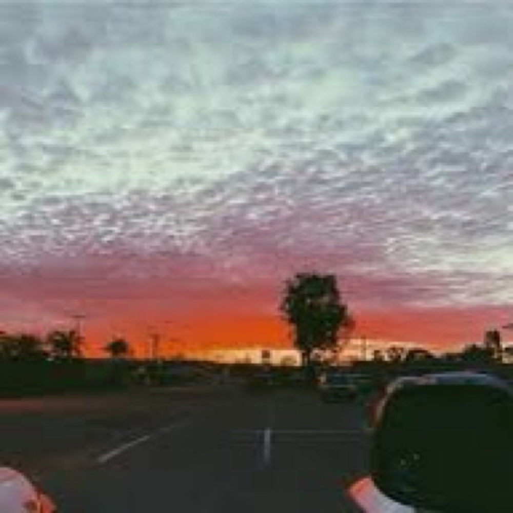 Meet your Posher, Reese